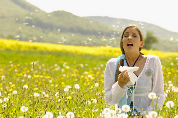 🌼 Allergie da Polline: Come Prevenirle e Alleviare i Sintomi – A Cura della Farmacia Mazzone